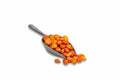 Tygrys. (100g)