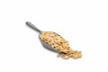 Pasatembos Psilos Baked Unsalted. (100g)